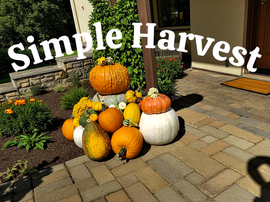 Simple Harvest